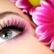 eye lash and eye brow tint